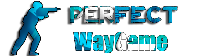 PERFECT WAY GAME